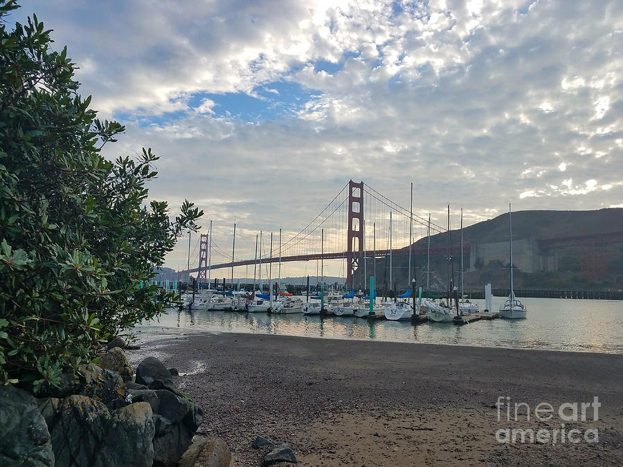 Travis Marina Golden Gate Bridge Photograph by Artist Linda Marie