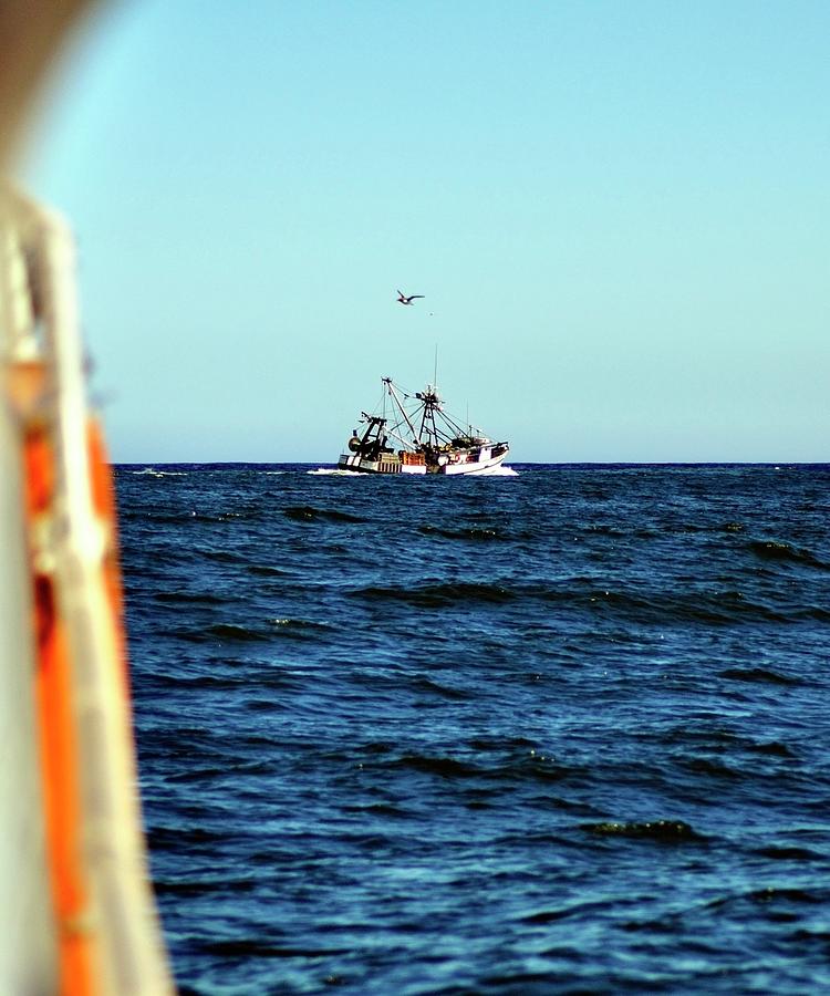 Trawler Following Photograph by Jerry Sodorff