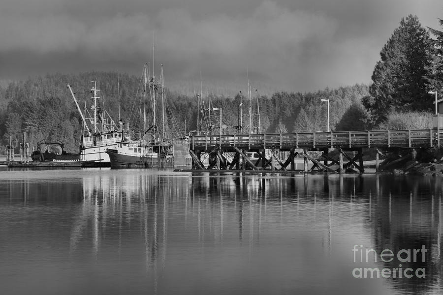 Trawlers In Ucluelet Harbor Photograph by Adam Jewell