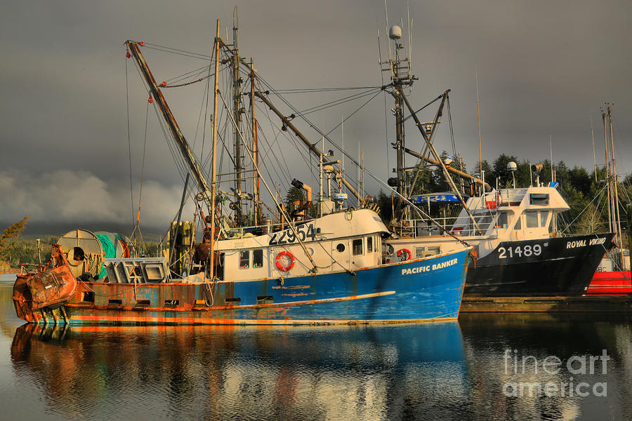 Trawlers On Vancouver Island Photograph by Adam Jewell