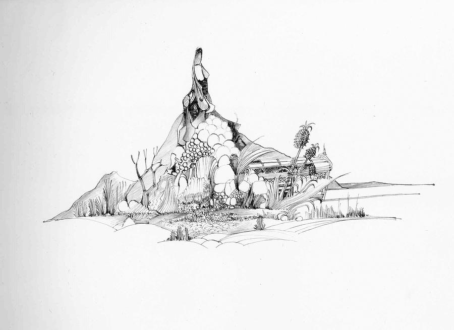 Nature Drawing - Treasure and the rock by Padamvir Singh