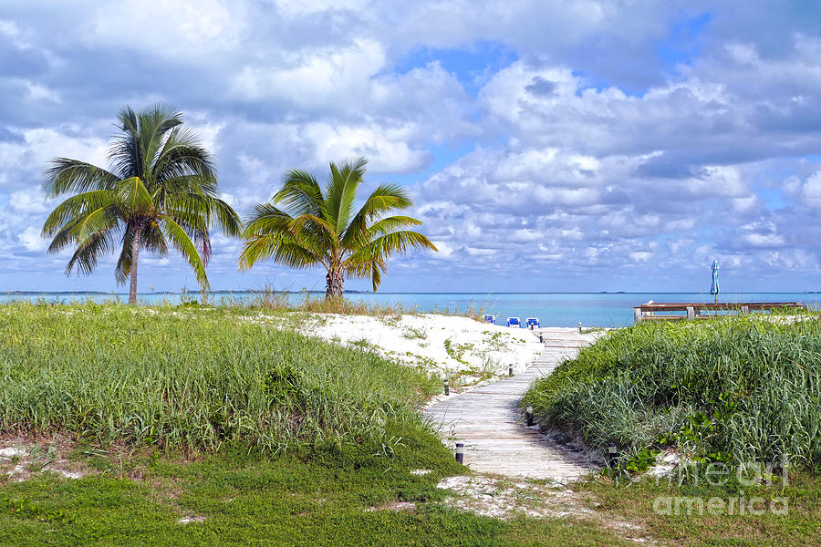 Treasure Cay Beach Boardwalk, Bahamas Photograph by Catherine Sherman