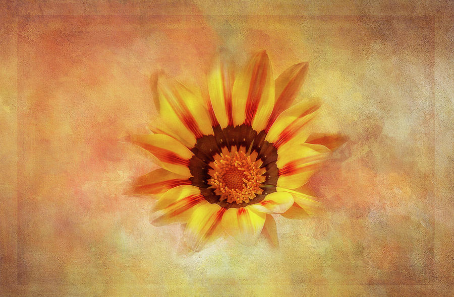 Treasure flower 2 Digital Art by Terry Davis