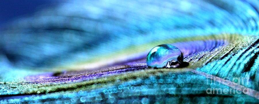 Treasure In A Drop Photograph by Krissy Katsimbras