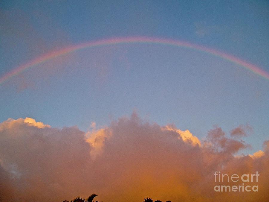 Treasure of Colors Maui Kula Rainbow Photograph by Cheryl Cutler