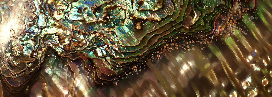 Abalone Shell Photograph - Treasures Await in a Jeweled Tide by Joy Gerow Abalone Shell Photograph - Treasures Await in a Jeweled Tide by Joy Gerow