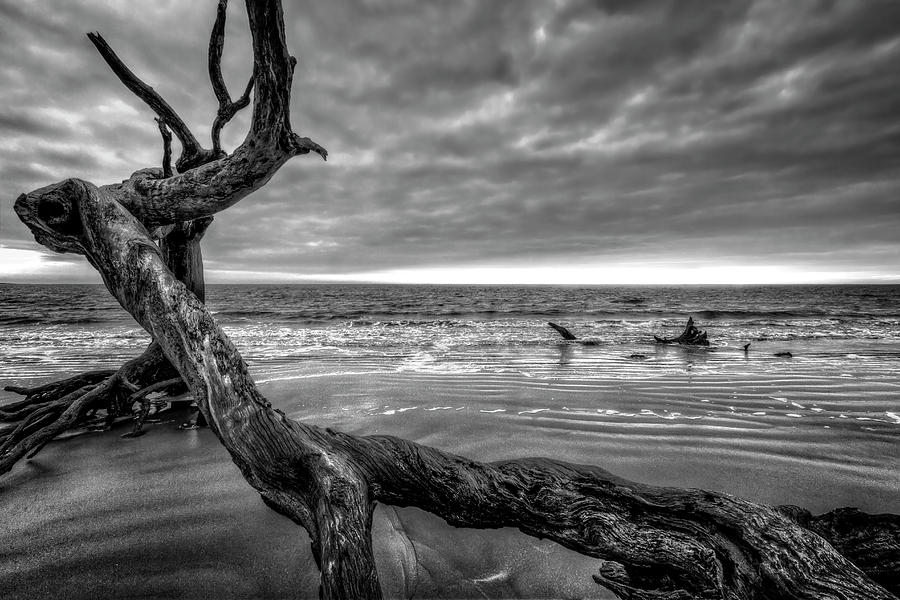 Treasures by the Sea Black and White Photograph by Debra and Dave Vanderlaan