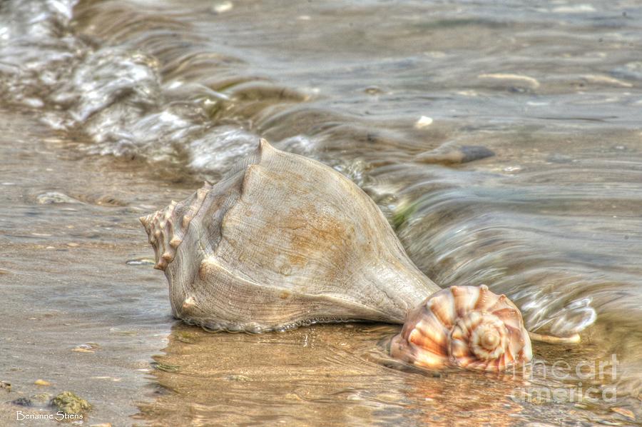 Treasures Found Photograph by Benanne Stiens