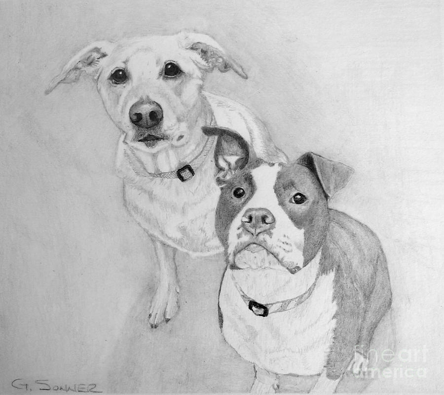 Treat Please Drawing by George Sonner