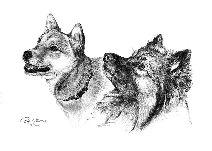 Treats Please Drawing by Rod Varney