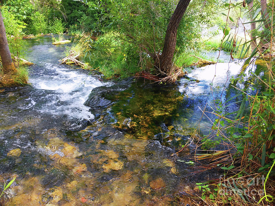 Trebizat River 3 Photograph by Jasna Dragun