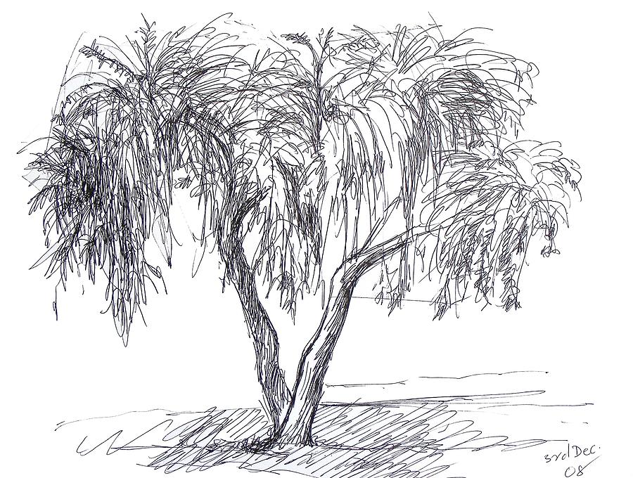 Landscape Drawing - Tree 1 by Naveen Wagh