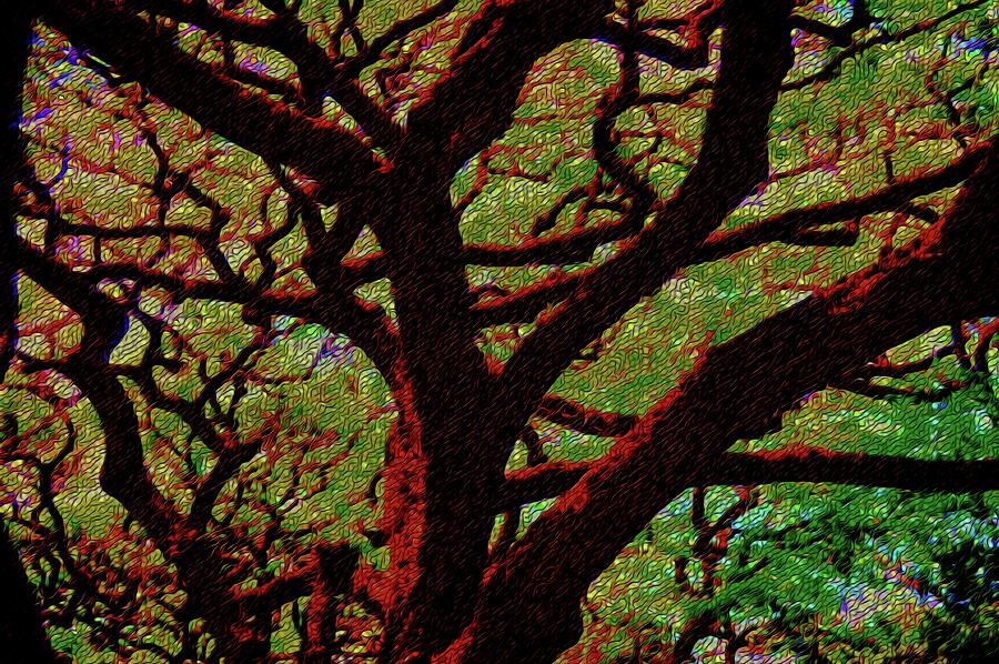 Tree 104 Version 4 Photograph