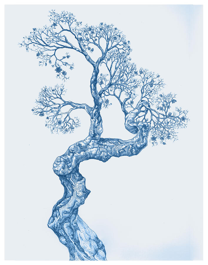 Tree 14 Blue 1 Digital Art by Brian Kirchner