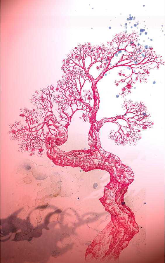Tree 14 Hybrid 1 Digital Art by Brian Kirchner
