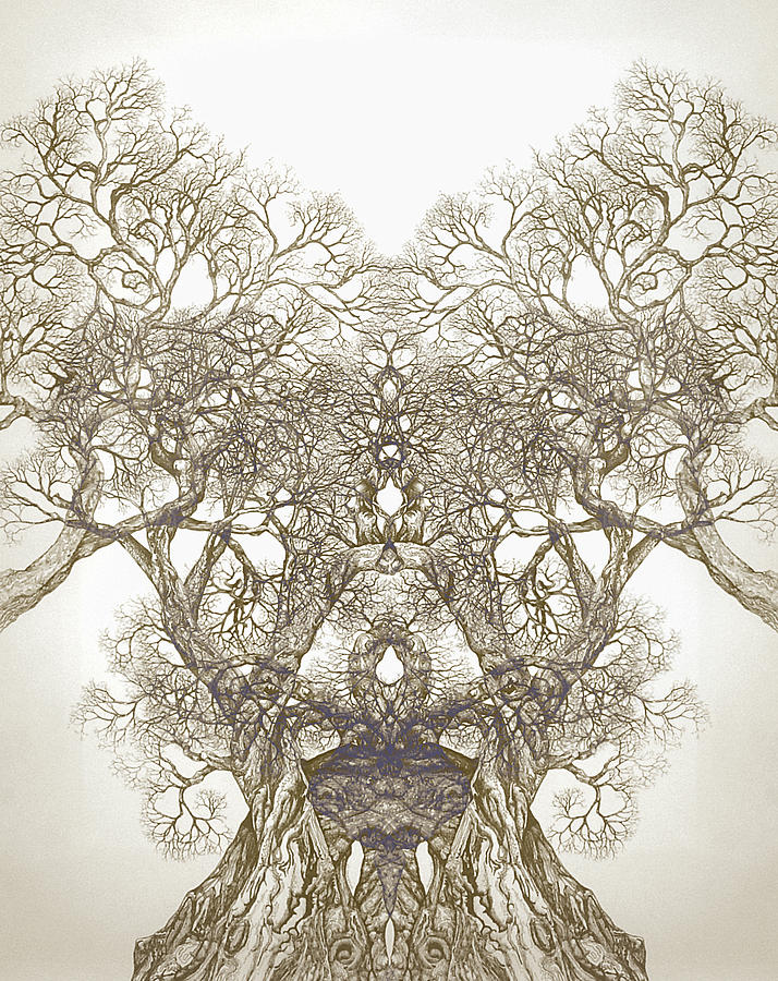 Tree 20 Hybrid 1 Digital Art by Brian Kirchner