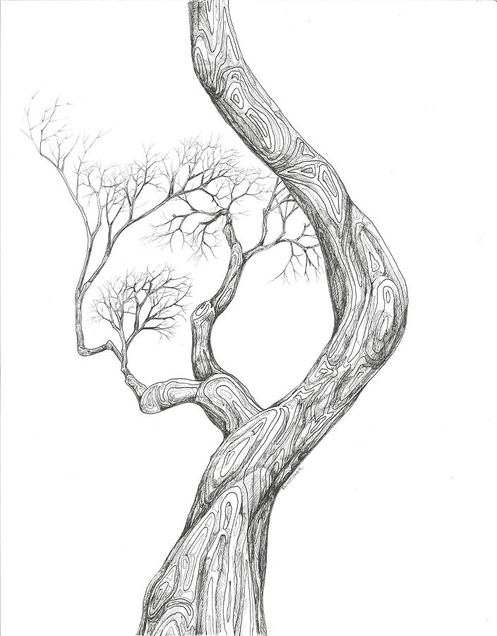 Tree 40 Digital Art by Brian Kirchner