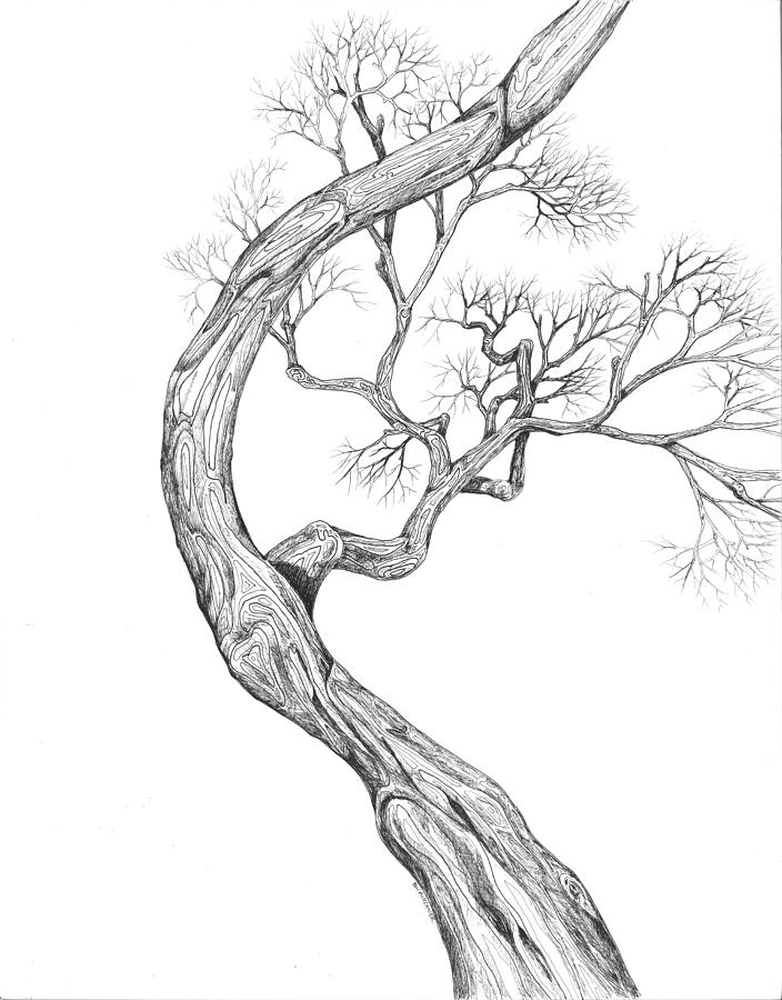 Tree 41 Digital Art by Brian Kirchner