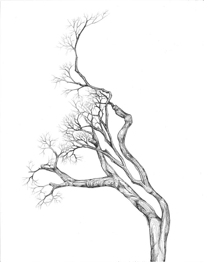 Tree 42 Digital Art by Brian Kirchner