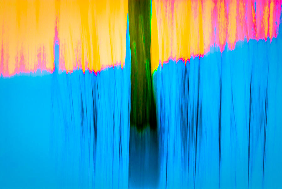 Abstract Photograph - Tree Abstract by Onyonet Photo studios
