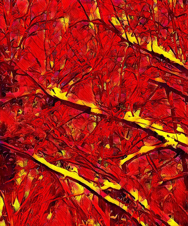 Tree Abstract Red And Yellow Digital Art