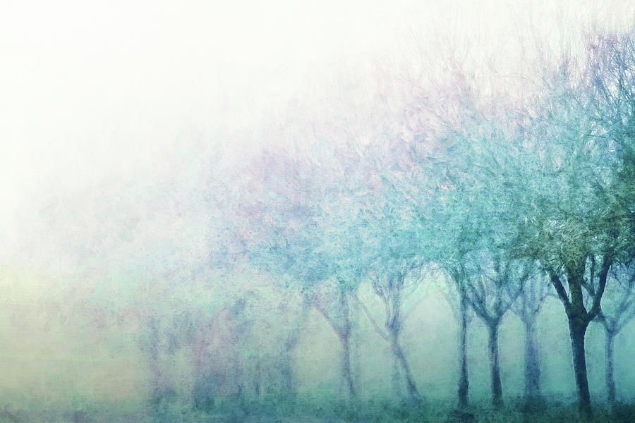 Tree Abstraction in Fog Digital Art by Terry Davis