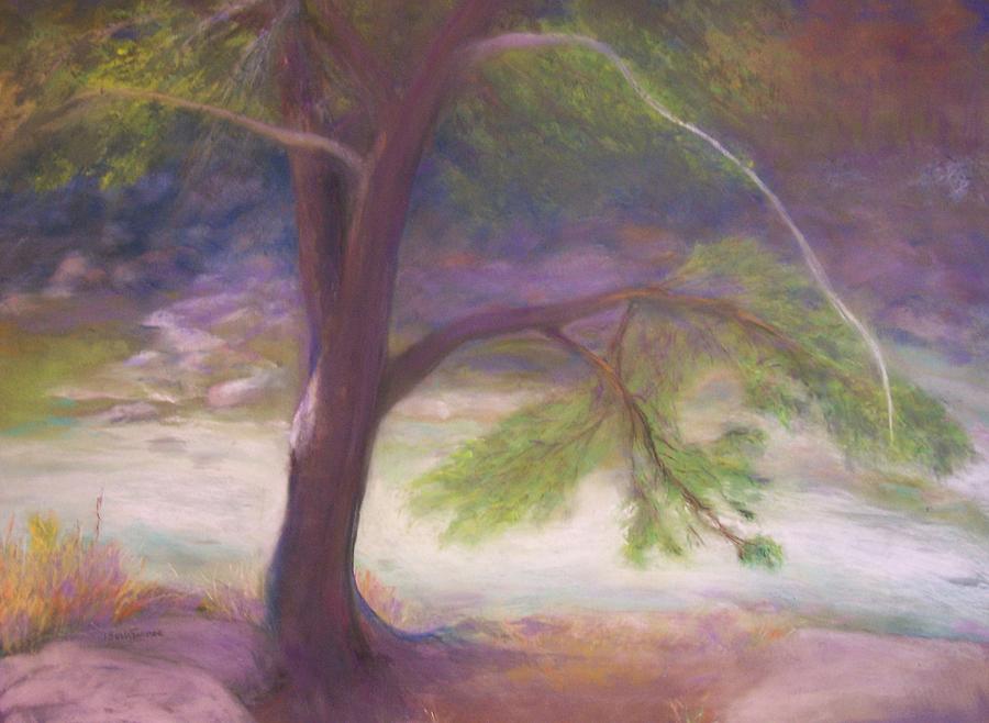 Tree Along the Creek Pastel by Jackie Bush-Turner