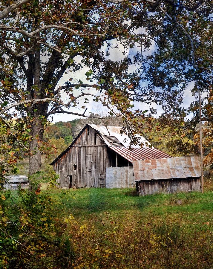 Tree and Barn Photograph by Marty Koch