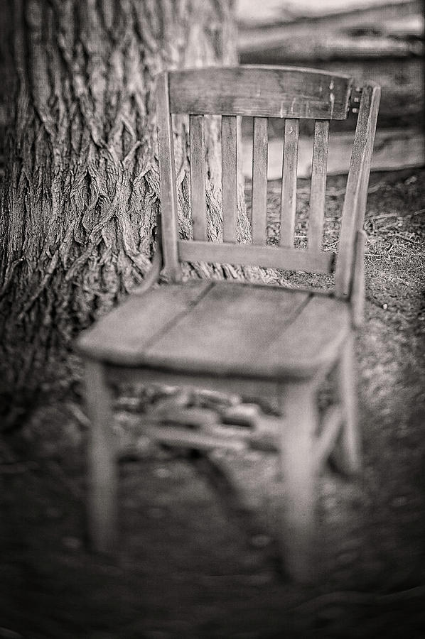 Tree And Broken Wooden Chair In Bw Photograph