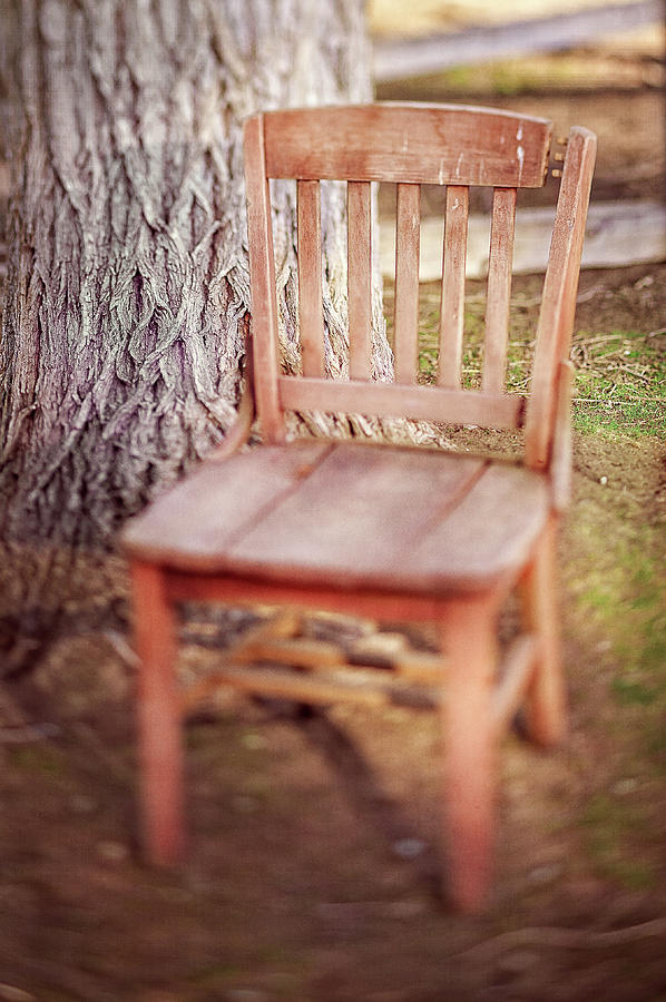 Tree and Broken Wooden Chair Photograph by YoPedro