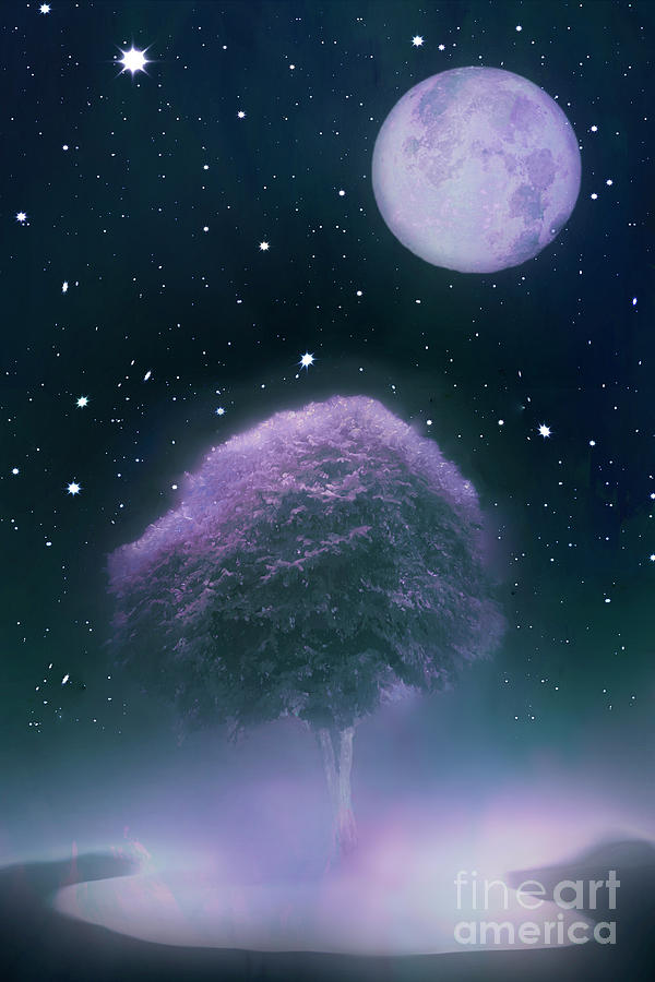 Tree and Moon Photograph by Hal Halli