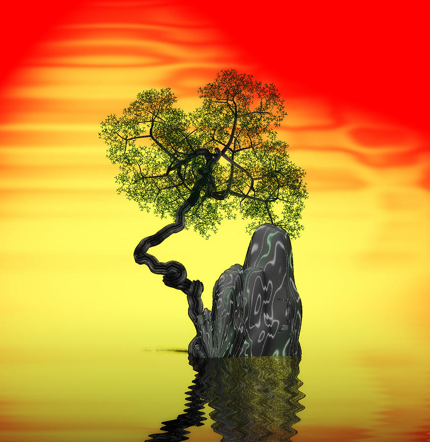 Tree And Rock 6 Digital Art