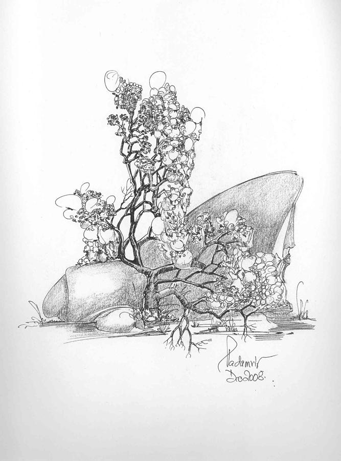 Tree and Rocks Drawing by Padamvir Singh