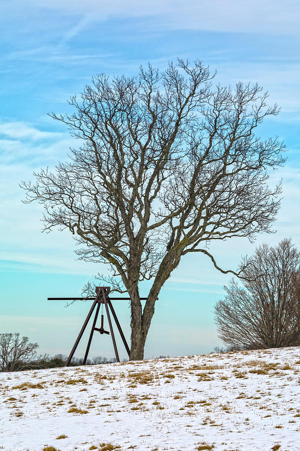 Tree And Sculpture In Winter Photograph by Angelo Marcialis