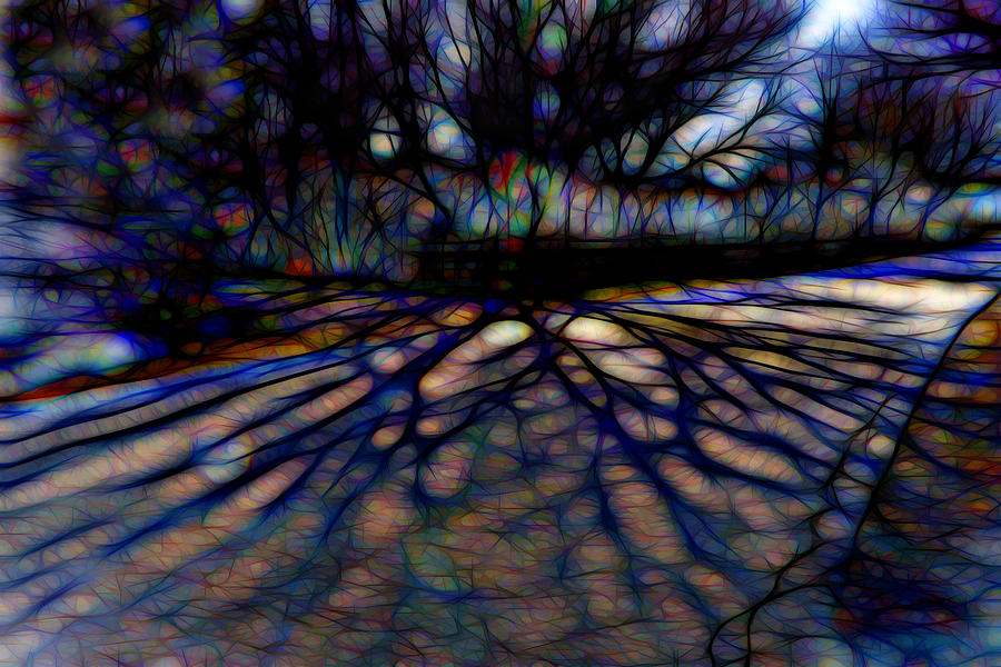 Tree and Shadow Digital Art by Lilia D