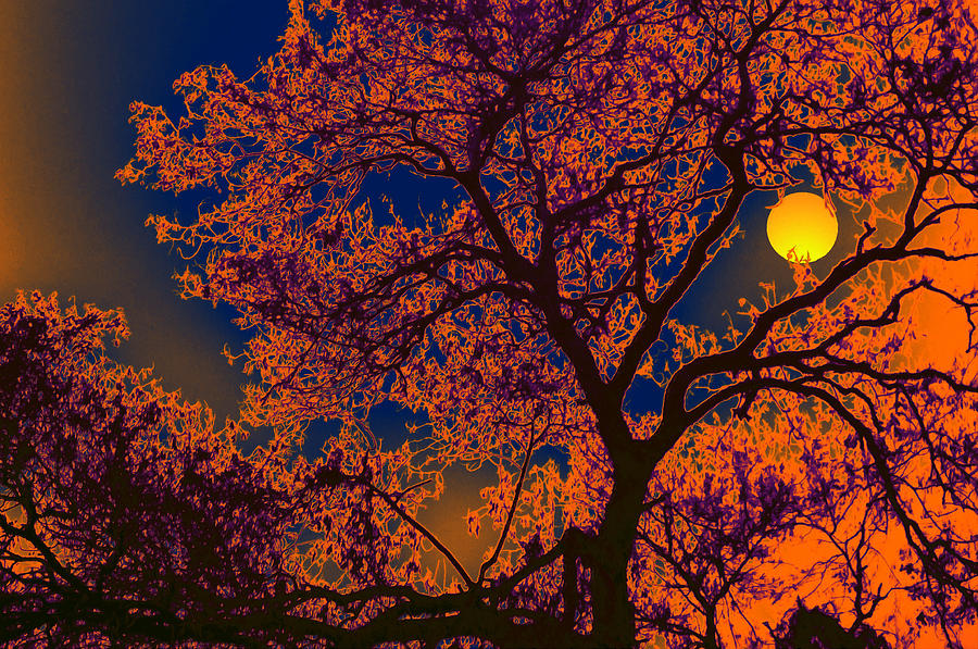 Tree Digital Art - Tree and the moon by Bliss Of Art