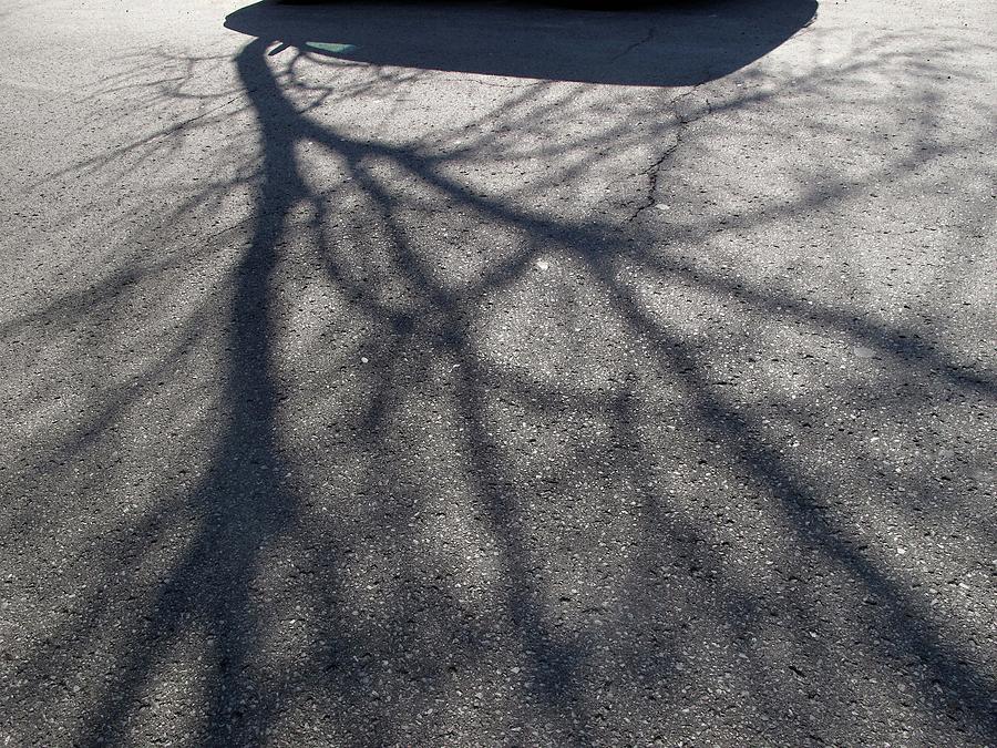 Tree and Truck Shadows WC  Photograph by Lyle Crump