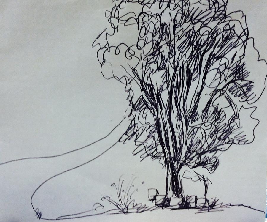 Tree around my Nighber  Drawing by Hae Kim