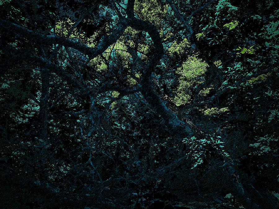 Graphic Design Digital Art - Tree by Aaron Kreinbrook Graphic Design Digital Art - Tree by Aaron Kreinbrook