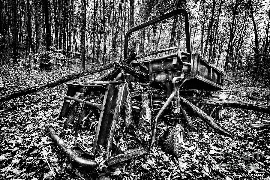 Black And White Photograph - Tree Art by Roger Carlsen Black And White Photograph - Tree Art by Roger Carlsen