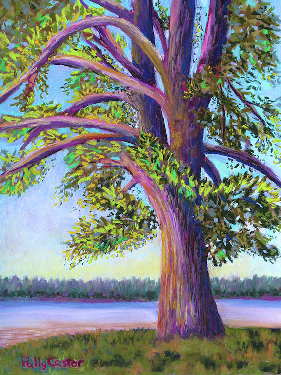 Tree at Camp Newfound Painting by Polly Castor