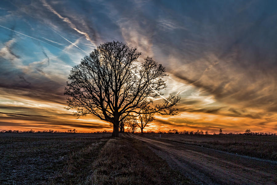Tree at Sunset-Eaton Rapids Photograph by Joe Holley