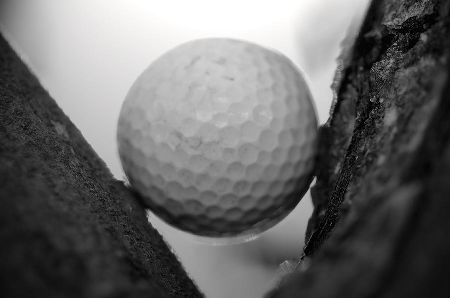 Golf Photograph - Tree Ball by Shawn Wood