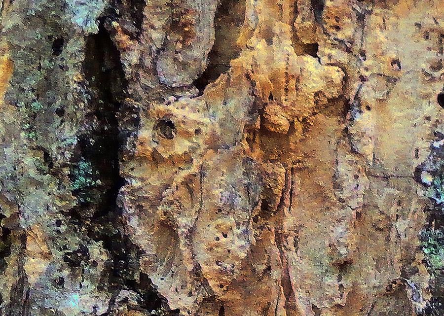 Tree Bark Photograph by Wolfgang Schweizer