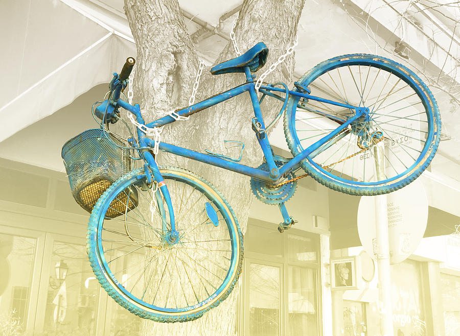 Tree Bike Photograph by Jessica Levant
