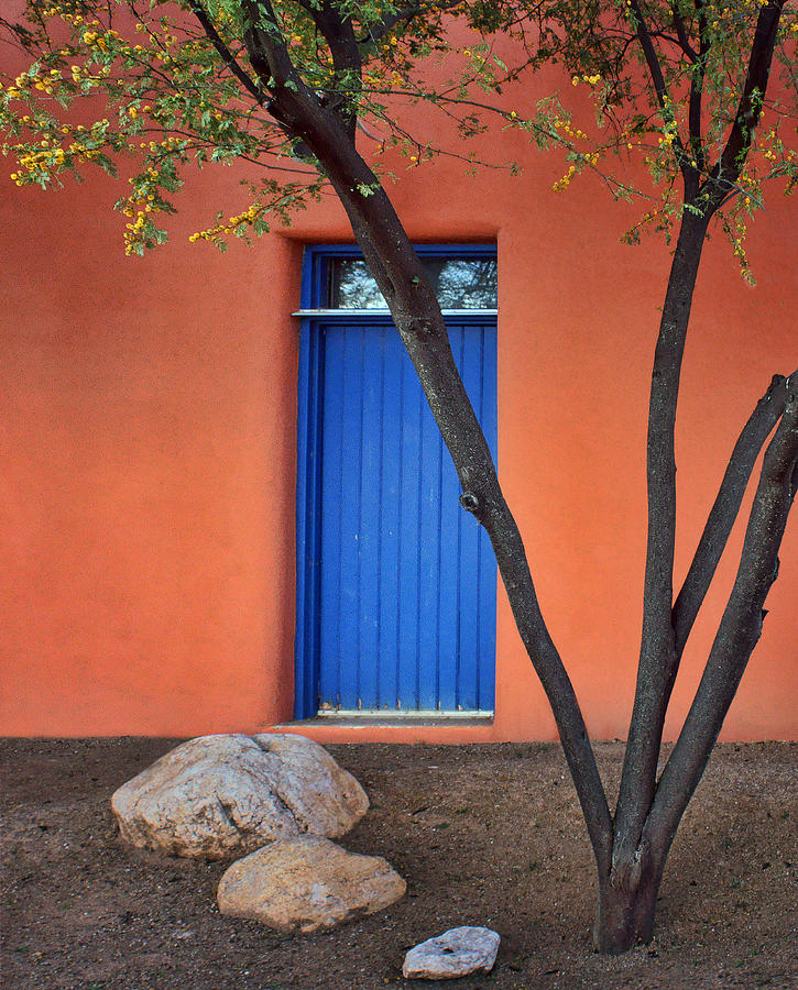 Tree Photograph - Tree - Blue Door - Barrio Historico - Tucson by Nikolyn McDonald