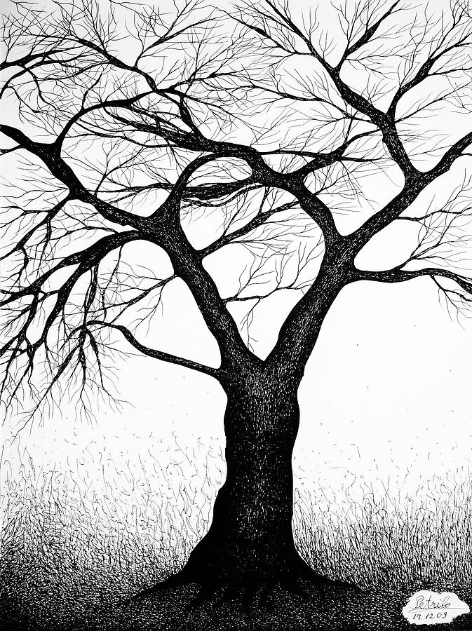 Tree Drawing - Tree by Bogdan Petrila