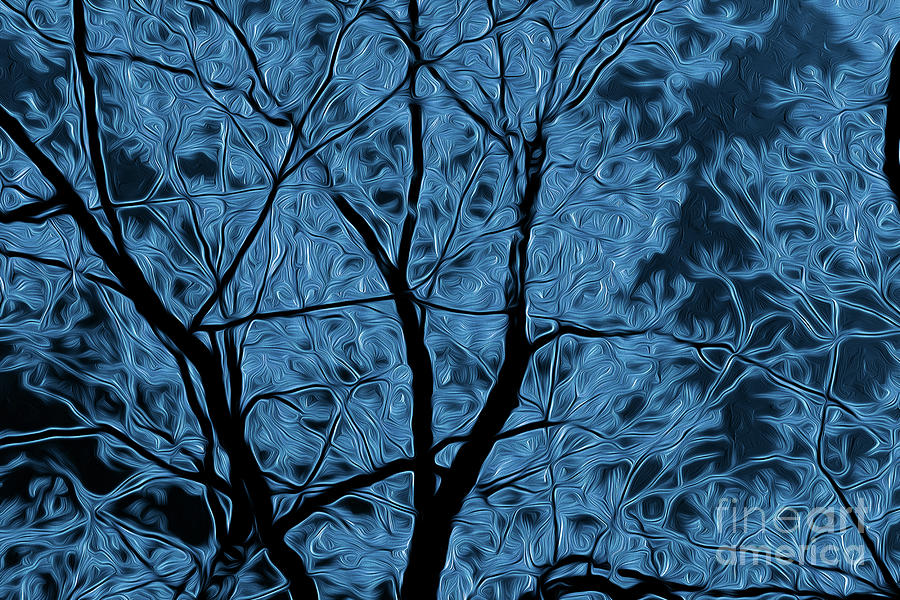 Tree Branches 4 Digital Art by Chris Taggart - Fine Art America