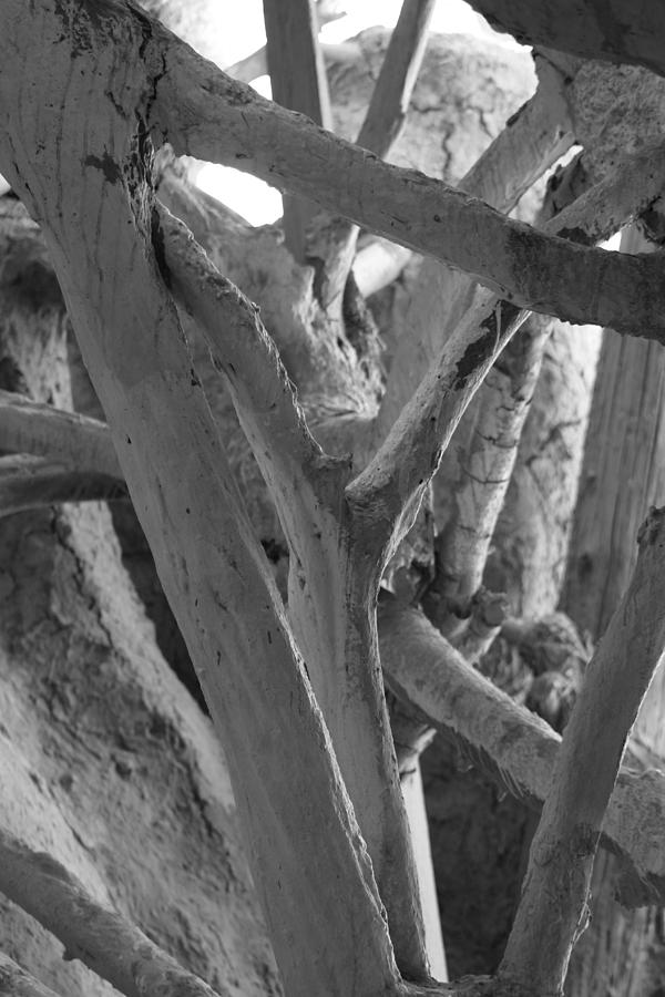 Tree Branches Salvation Mountain in Black and White Photograph by Colleen Cornelius