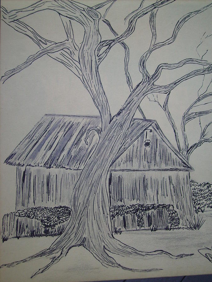 Landscape Drawing - Tree By Jacobs Barn by Karen Salley-Rice Landscape Drawing - Tree By Jacobs Barn by Karen Salley-Rice